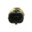 Capteur de température d'huile OE VM45962084F - Visuel 2