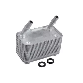 Radiateur d'huile TEKNÖR CCL-LR-010