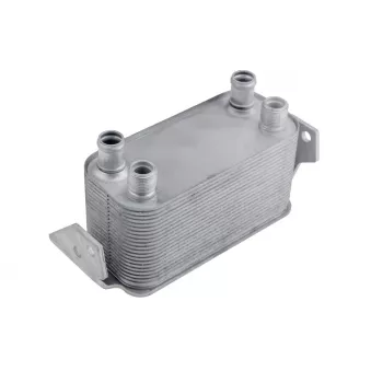 Radiateur d'huile TEKNÖR CCL-LR-011