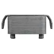Radiateur d'huile TEKNÖR CCL-LR-011 - Visuel 3