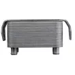 Radiateur d'huile TEKNÖR CCL-LR-019 - Visuel 3
