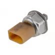 Capteur, pression de carburant TEKNÖR EFP-AU-007 - Visuel 2