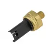 Capteur, pression de carburant TEKNÖR EFP-BM-005 - Visuel 2