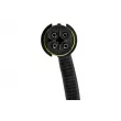 Sonde lambda TEKNÖR ESL-ME-000 - Visuel 3