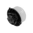 Pulseur d'air habitacle TEKNÖR EWN-PL-004 - Visuel 2