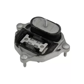 Suspension, boîte automatique TEKNÖR ZPS-AU-001