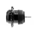 Support moteur TEKNÖR ZPS-CH-091 - Visuel 3