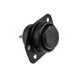 Support moteur TEKNÖR ZPS-DW-005 - Visuel 2