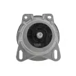 Support moteur TEKNÖR ZPS-FR-013 - Visuel 3