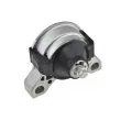 Support moteur TEKNÖR ZPS-FR-030 - Visuel 1