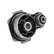 Support moteur TEKNÖR ZPS-HD-047 - Visuel 1