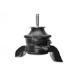 Support moteur TEKNÖR ZPS-KA-304 - Visuel 3