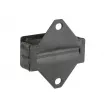 Support moteur TEKNÖR ZPS-MS-083 - Visuel 2