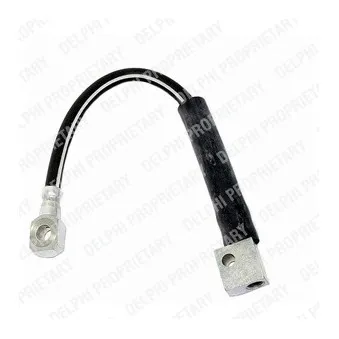 Flexible de frein DELPHI LH2811