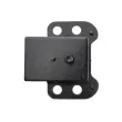 Support moteur TEKNÖR ZPS-NS-148 - Visuel 3