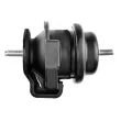 Support moteur TEKNÖR ZPS-NS-151 - Visuel 3