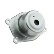 Support moteur TEKNÖR ZPS-PL-044 - Visuel 1