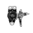 Support moteur TEKNÖR ZPS-RE-007 - Visuel 3