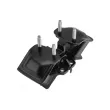Support moteur TEKNÖR ZPS-TY-122 - Visuel 1