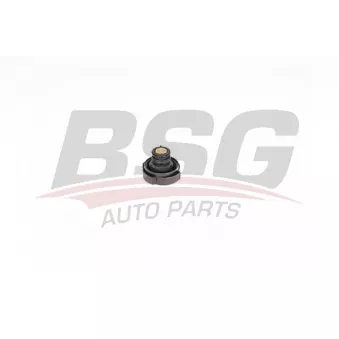 Bouchon, réservoir de liquide de refroidissement BSG BSG 15-551-003