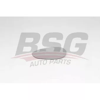 Verre de rétroviseur, rétroviseur extérieur BSG BSG 25-910-011