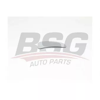 Rétroviseur extérieur BSG BSG 30-910-049