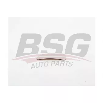 Rétroviseur extérieur BSG BSG 30-910-050