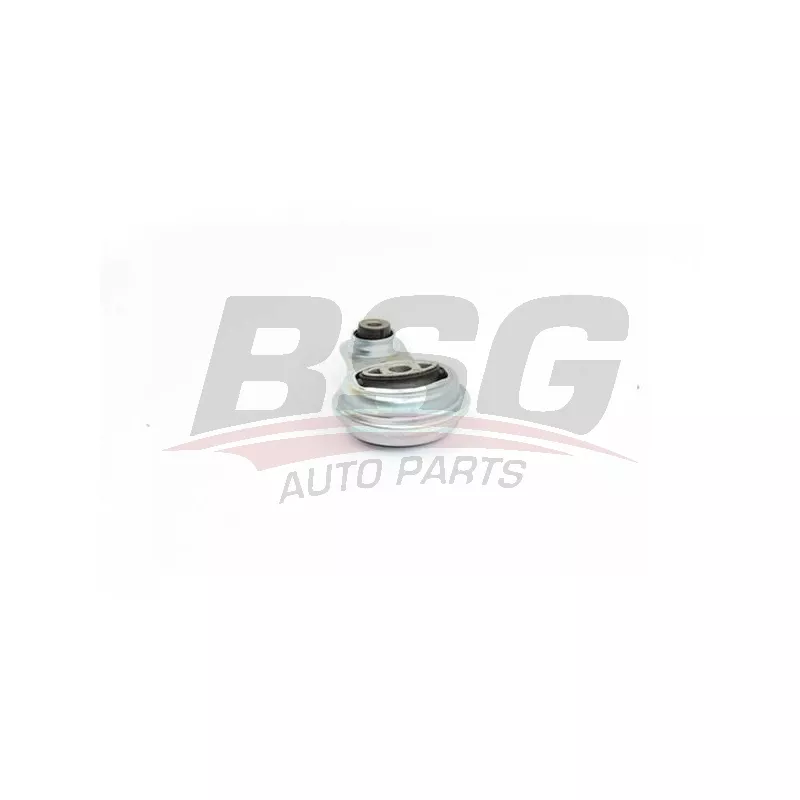 Support moteur BSG BSG 75-705-027