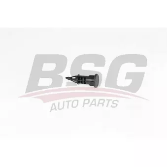 Clip, enjoliveur BSG BSG 75-922-002
