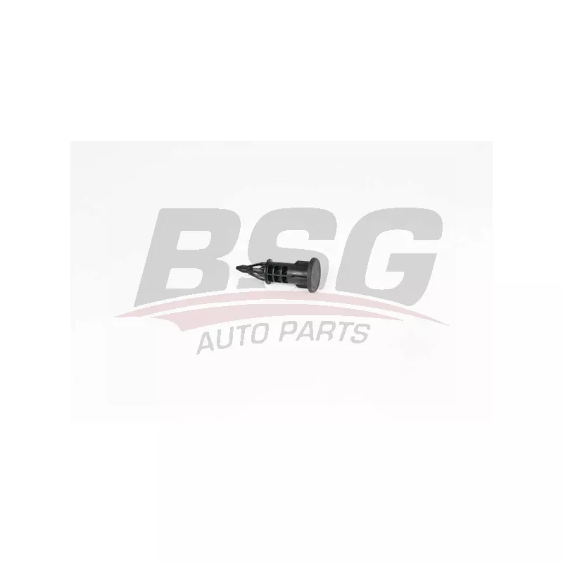 Clip, enjoliveur BSG BSG 75-922-002
