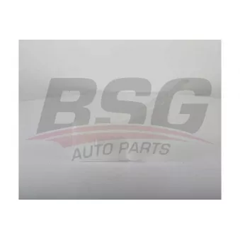 Réservoir d'eau de nettoyage, nettoyage des vitres BSG BSG 75-922-005