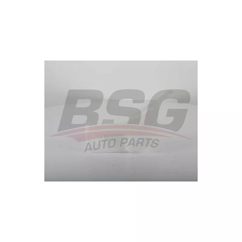 Réservoir d'eau de nettoyage, nettoyage des vitres BSG BSG 75-922-005