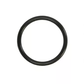 Joint d'étanchéité, pompe à eau ENGITECH ENT010895