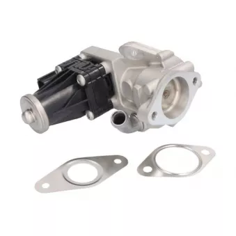 Vanne EGR ENGITECH ENT500058