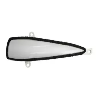 Feu clignotant BLIC 5403-018-12-862D