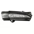Feu clignotant BLIC 5403-03-043106 - Visuel 1