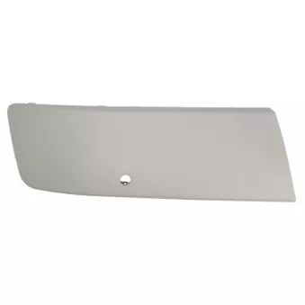 Baguette et bande protectrice, pare-chocs avant droit BLIC 5510-00-9568928P