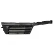 Grille de ventilation, pare-chocs avant gauche BLIC 5513-00-0027916CP - Visuel 2