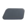 Enjoliveur, pare-chocs avant gauche BLIC 5513-00-0066925P - Visuel 1