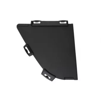 Grille de ventilation, pare-chocs avant gauche BLIC 5513-00-0096925PP