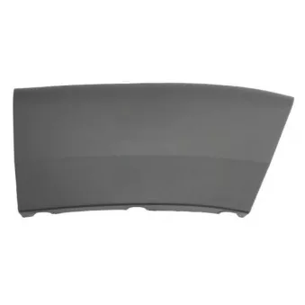 Baguette et bande protectrice, aile avant droit BLIC 5703-04-2097472BP