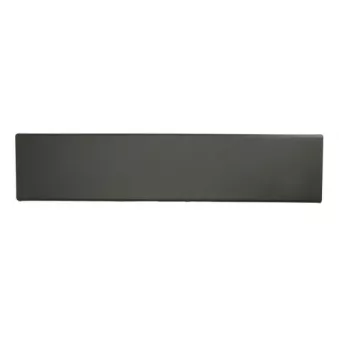 Baguette et bande protectrice, porte arrière gauche BLIC 5703-04-2097583P