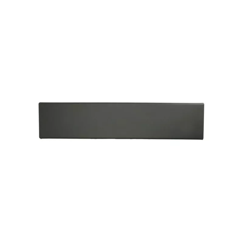 Baguette et bande protectrice, porte arrière gauche BLIC 5703-04-2097583P