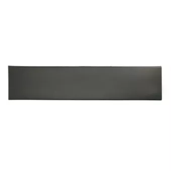 Baguette et bande protectrice, porte arrière droit BLIC 5703-04-2097584P