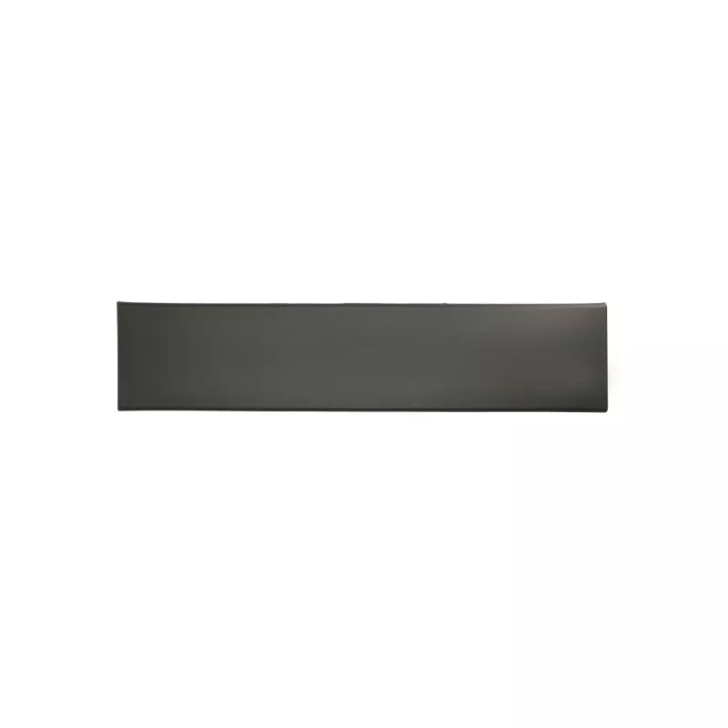 Baguette et bande protectrice, porte arrière droit BLIC 5703-04-2097584P