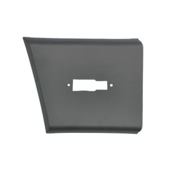 Baguette et bande protectrice, aile avant droit BLIC 5703-04-2098478P
