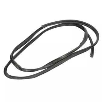 Joint d'étanchéité, pare-brise BLIC 5703-04-2534100P