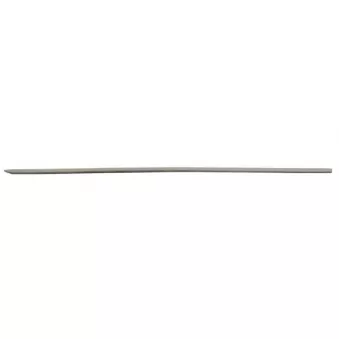 Baguette et bande protectrice, porte arrière gauche BLIC 5703-04-3529573P