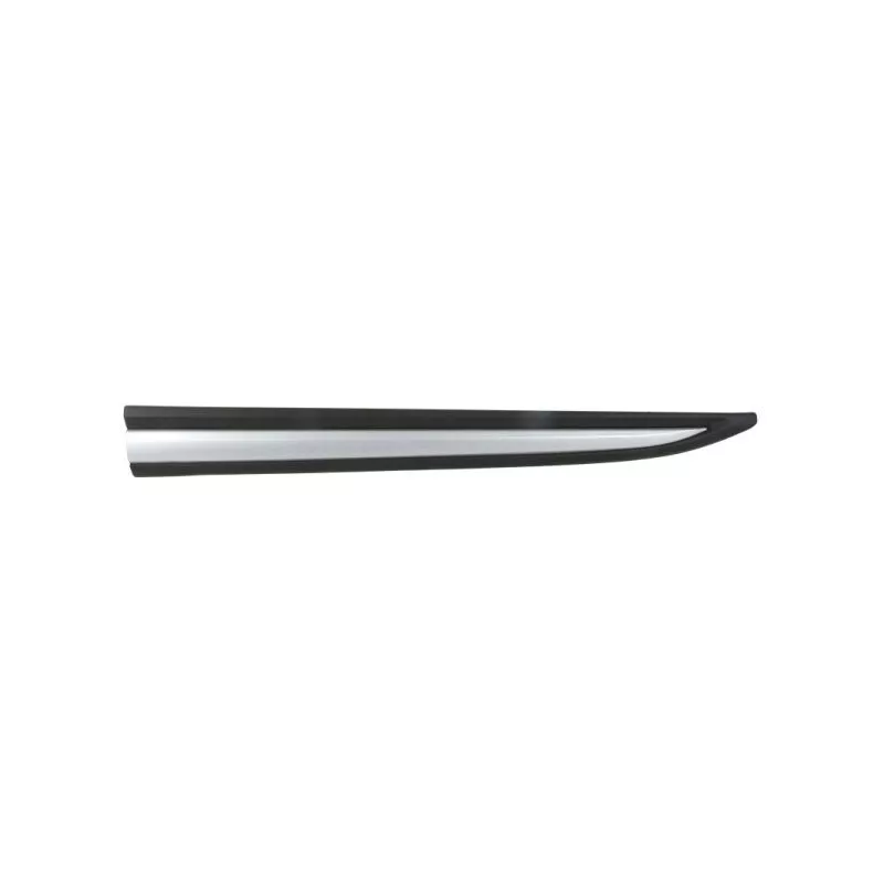 Baguette et bande protectrice, porte avant gauche BLIC 5703-04-3753571P
