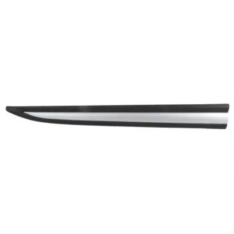 Baguette et bande protectrice, porte avant droit BLIC 5703-04-3753572P